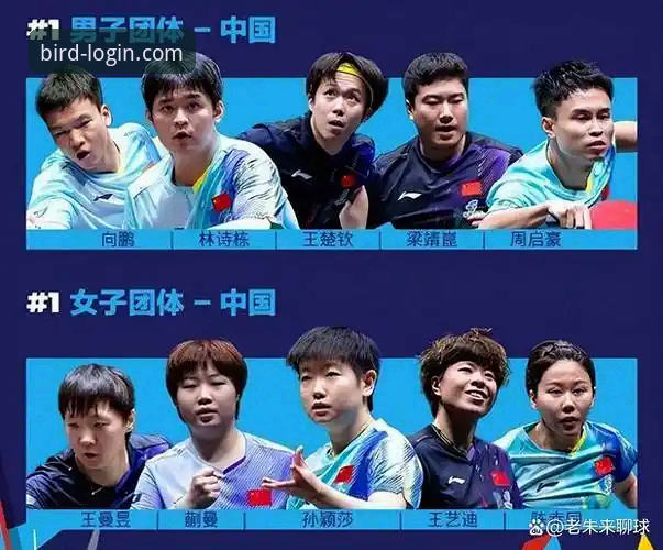 资深球迷分享：在小鸟平台官网看国乒男团逆转英格兰的实战观赛心得
