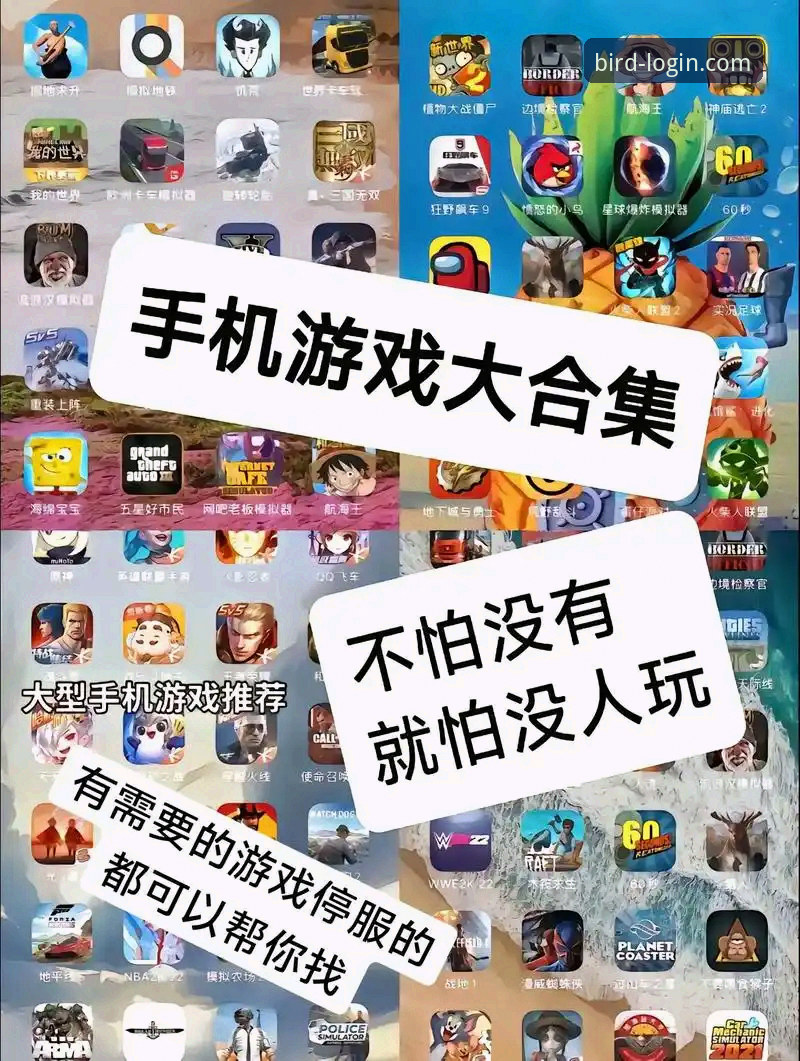 小鸟游戏官网安卓版下载实用指南：老玩家分享的必备知识
